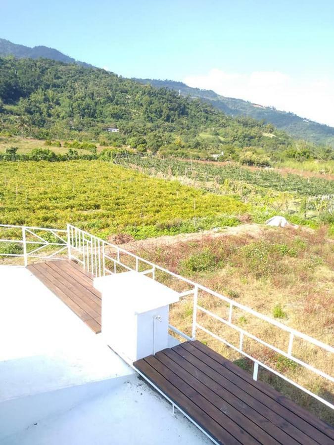 Back To Real Hostel Taitung المظهر الخارجي الصورة