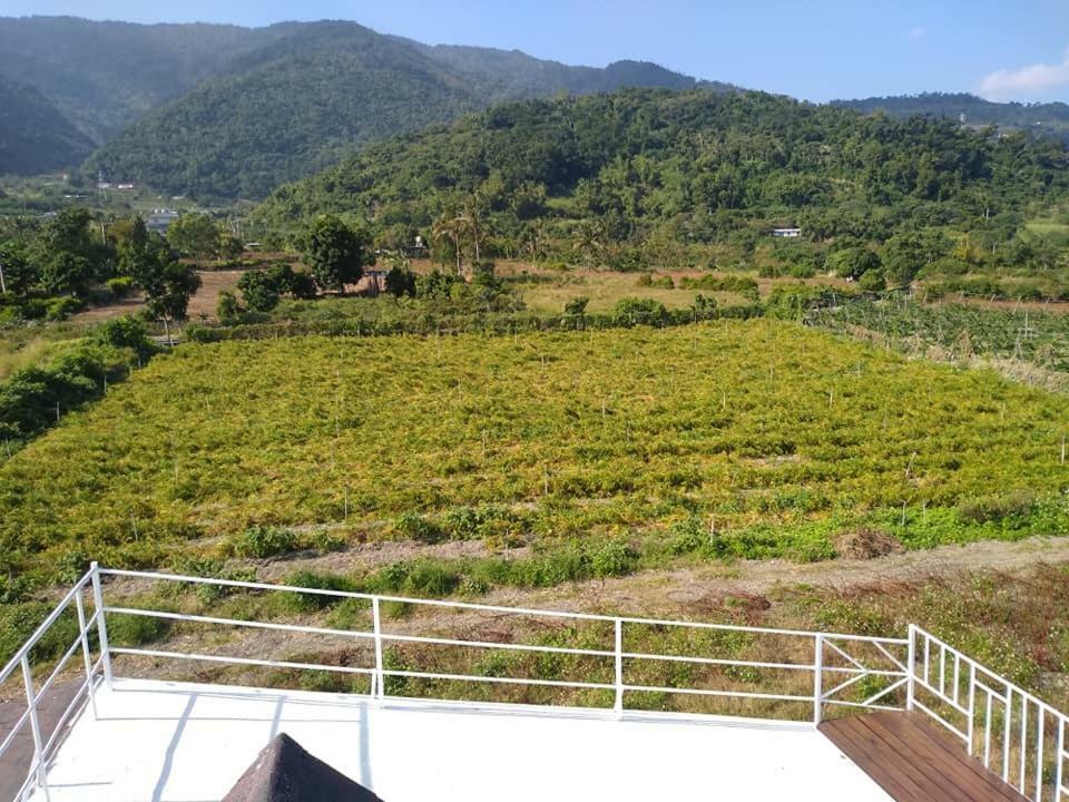 Back To Real Hostel Taitung المظهر الخارجي الصورة